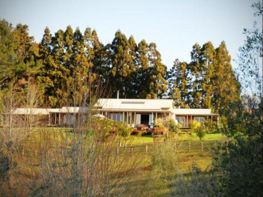 Puketotara Lodge Kerikeri Exterior foto